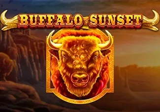 Buffalo Sunset